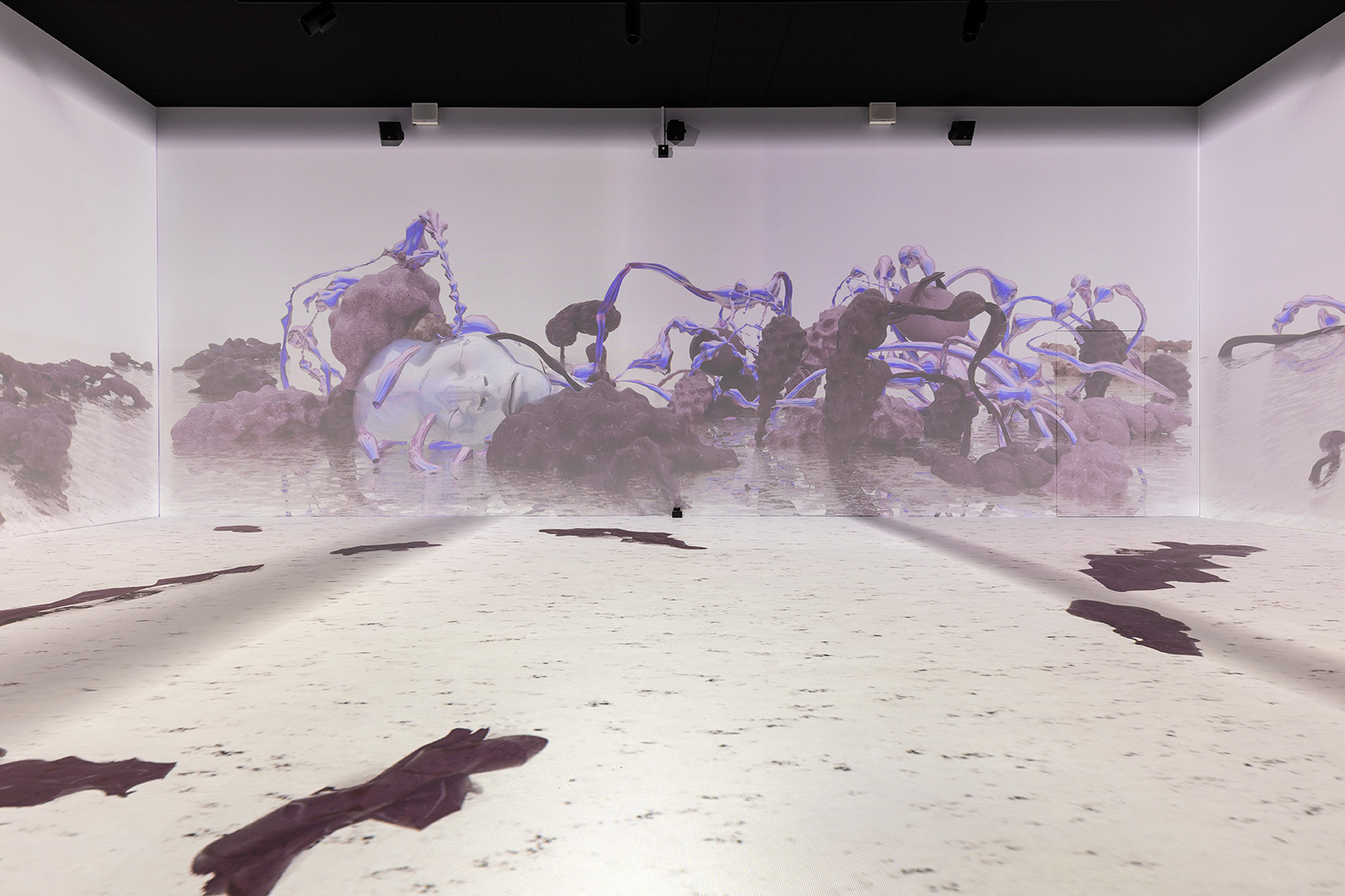 Anatomy-Lessons_KRUPA_1