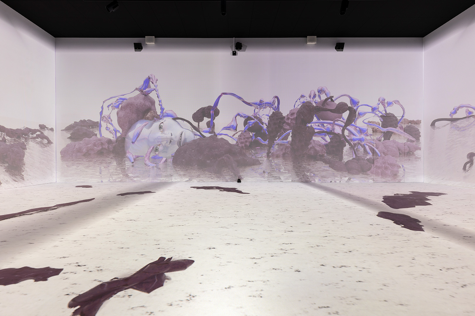 Anatomy-Lessons_KRUPA_2