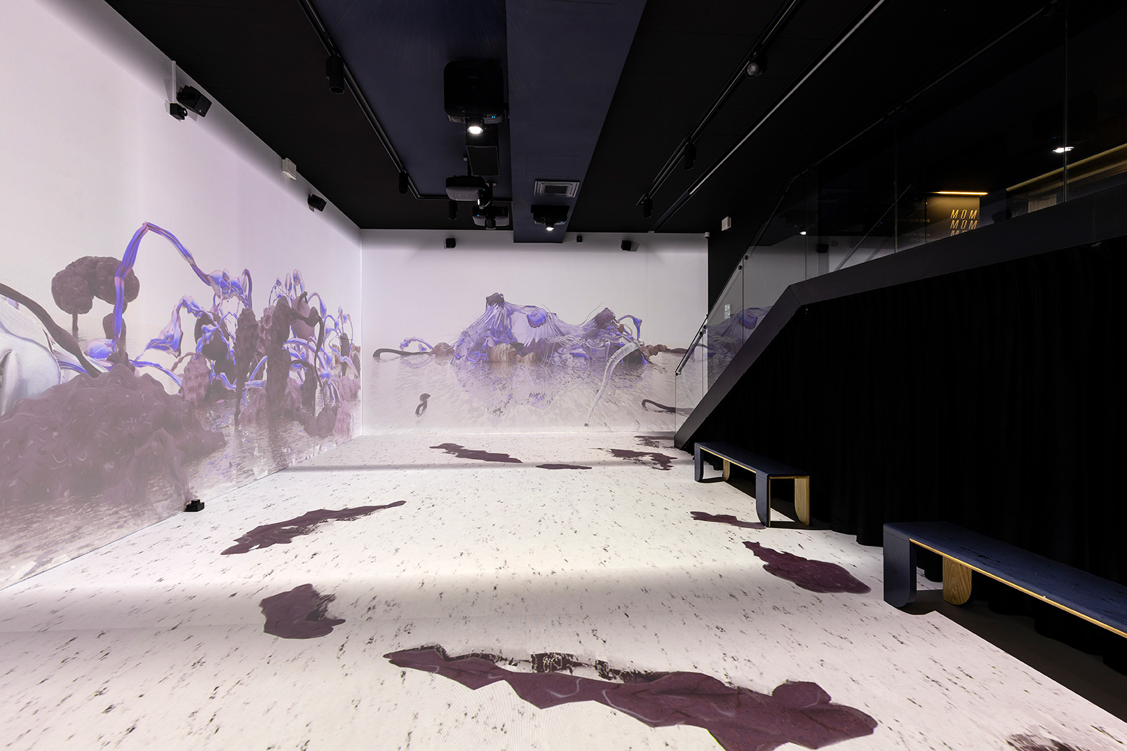 Anatomy-Lessons_KRUPA_5