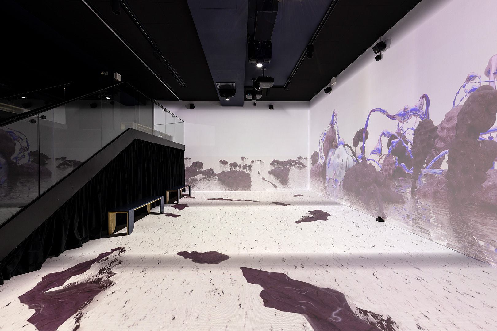 Anatomy-Lessons_KRUPA_7