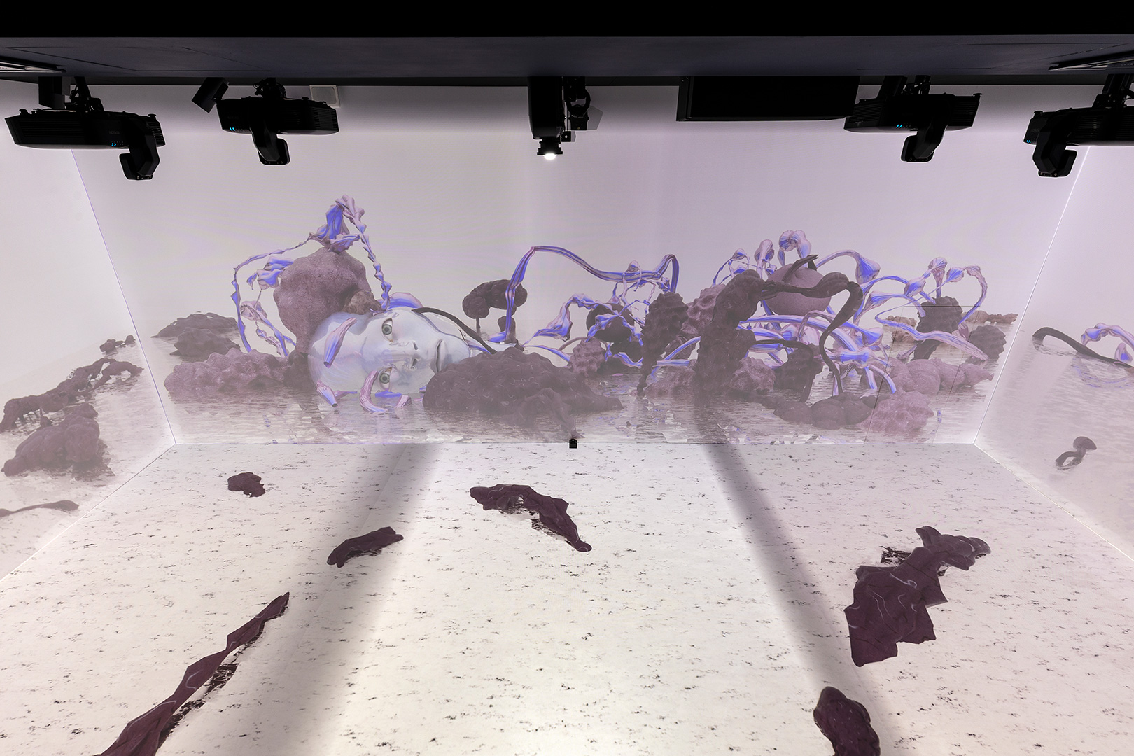 Anatomy-Lessons_KRUPA_8