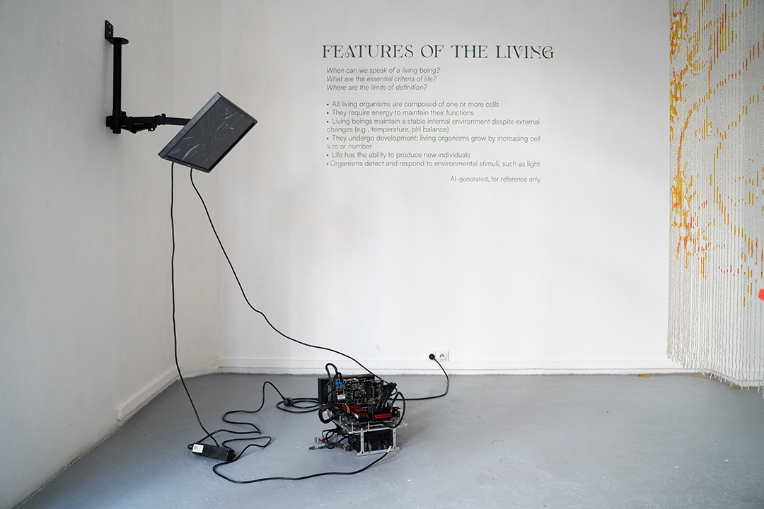 THE AESTHETICS OF STATE ZERO - BODY_0.1