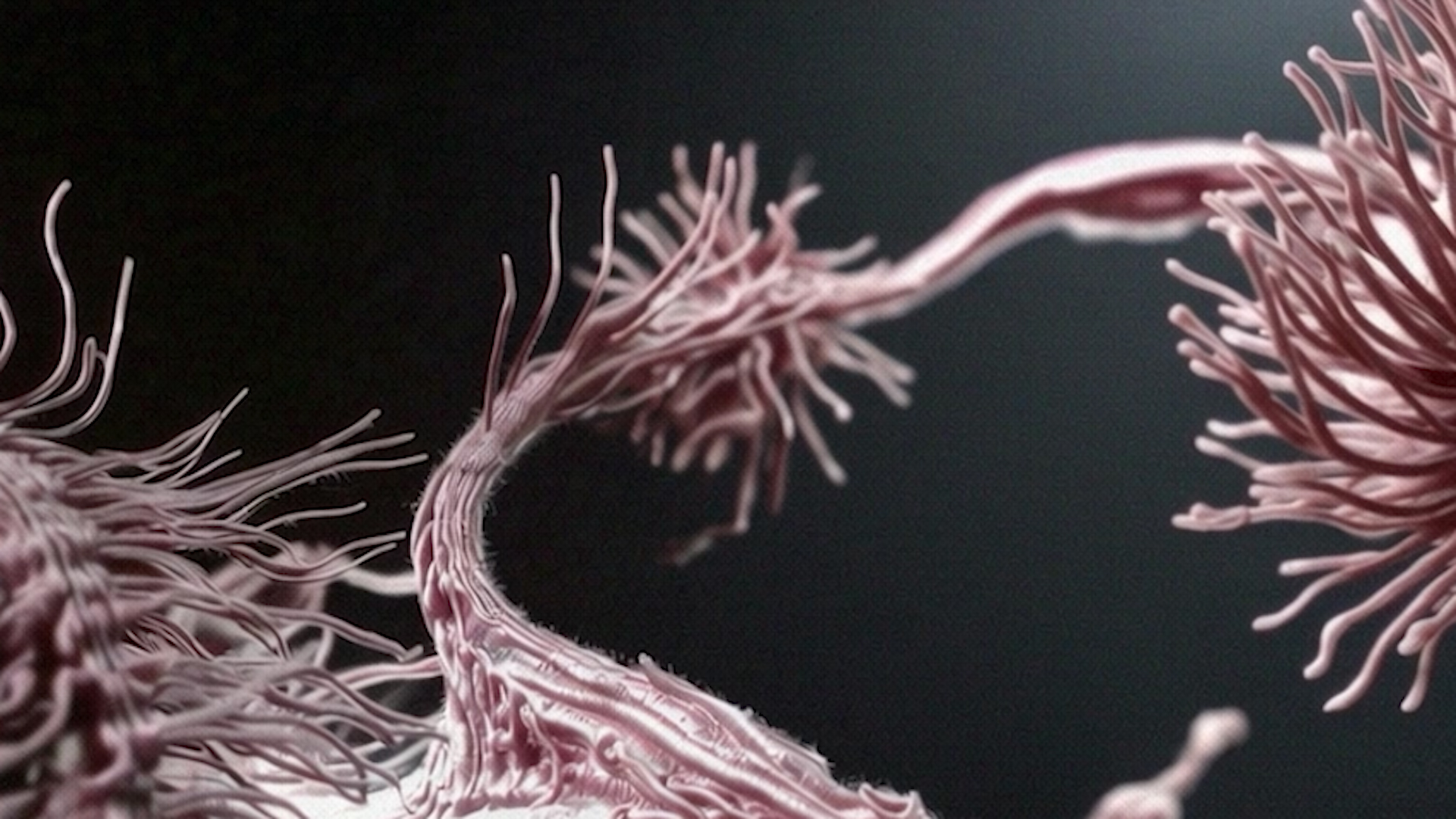 Verschwommener-Mond-10