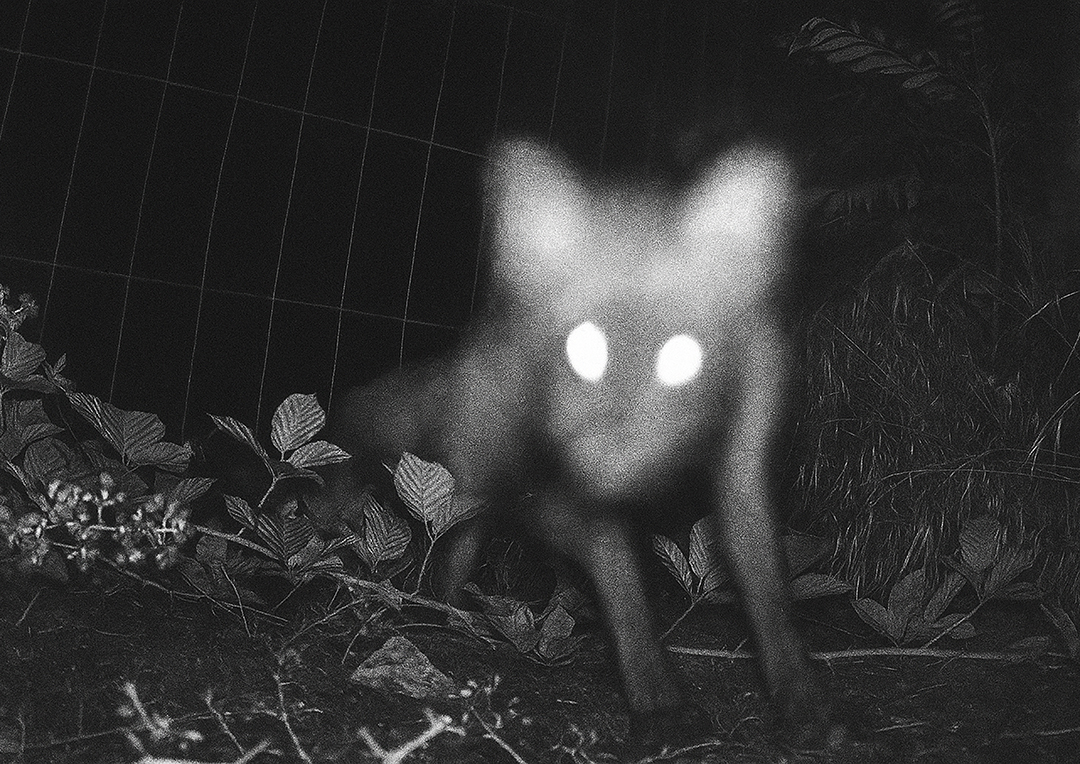 Chasse-Fugace-close